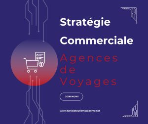 Formation en Stratégie Commerciale